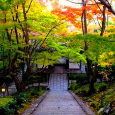 【これからがシーズン！】秋の「京都一周トレイル」は紅葉の山から寺社、食まで魅力山盛り