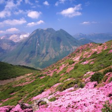 春〜初夏は九州がすばらしい。 こんな山に登ってみたい!! Akimama Mountain File vol.03