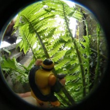 うちのお庭がジャングルに！　自宅から徒歩１秒の秘境探検。with「魚露目８号」