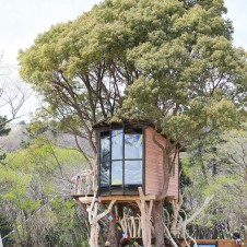 ツリーハウスクリエイター小林崇さんが作ったツリーハウスを中心に、音楽と笑顔で繋がっていくフェス。