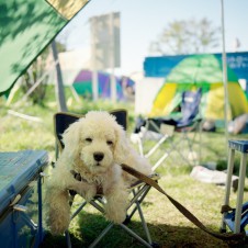 タイプ別でみる！ フジロックで使うあなたにピッタリのイスとは？