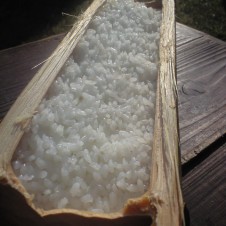日本一のお米を竹筒で炊いたら涙が出るほどおいしかった