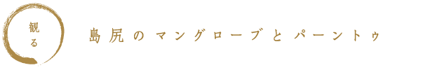 観る　島尻のマングローブとパーントゥ