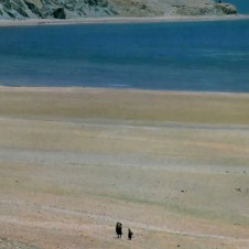 今福龍太のトラベローグを読む（アキママ読書日記③　後編）