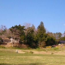 田植え体験などもコンテンツに並ぶ宮城県南三陸町のフリーフェス。GWが終わっても、こんなフェスがある！