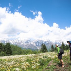 登山女子ビギナー限定、人気の白馬で旬を堪能＆写真の腕前上げませんか？