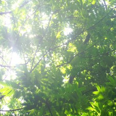 お山の上が、とってもとってもいい季節です。