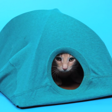 春うらら。DIYで作る日だまりのお昼寝ネコテント