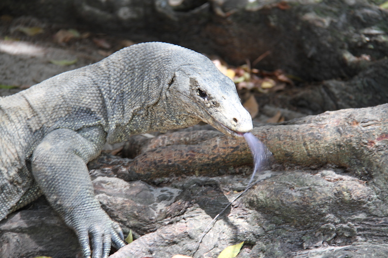 調べてみた いまさら聞けない 山のおコトバ Akimama アウトドアカルチャーのニュースサイト