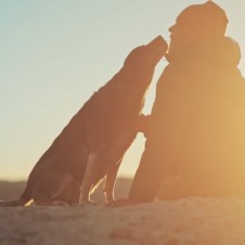 【海外】愛犬と60日間のデザートバックパッキング 「Ace and the Desert Dog」