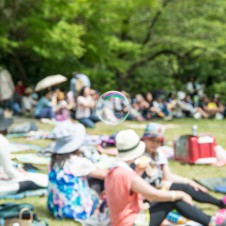 【揖斐川ワンダーピクニックインタビュー】町と自然、新しさと古さが混在する場所