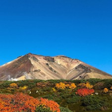 【現場なう】日本で一番早い紅葉と言われる北海道・旭岳。赤と緑のモザイク模様は、今が見頃です！