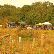 森で過ごす豊かさと楽しさを感じさせてくれるアヲルフェス