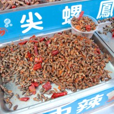 酒好きバックパッカーにオススメの台湾ローカルフード「燒酒螺」