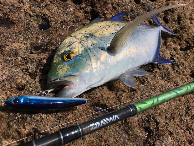 太い！ 強い！ 安い！ 巨大魚を狙い撃つパックロッド「メガフォース