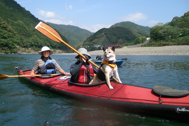 犬好き必見 ベテランカヌー犬 福ちゃんが教える おすすめパドリングアイテム ちょっと激し目タイプ編 Akimama アウトドアカルチャーのニュースサイト