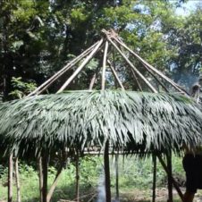 【海外】これを見ておけば、自力で小屋建築も可能!? ジャングルにあるものだけで家を建てる実践動画
