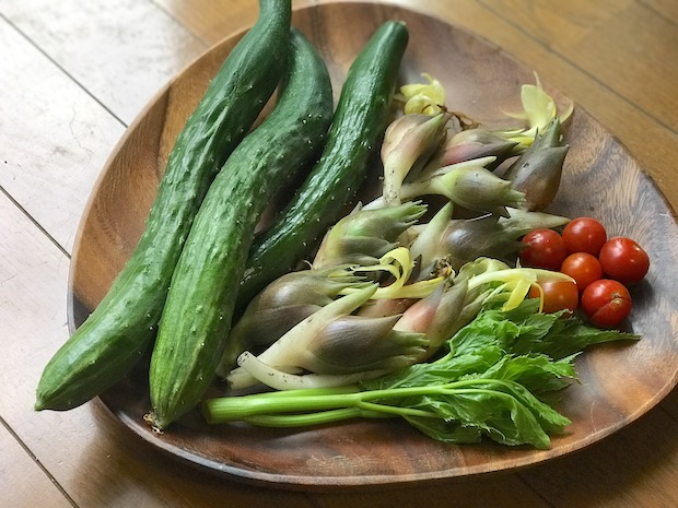 播きっぱなし植えっぱなしでok 無精者でも育てられるほったらかし菜園作ろうぜ Akimama アウトドアカルチャーのニュースサイト