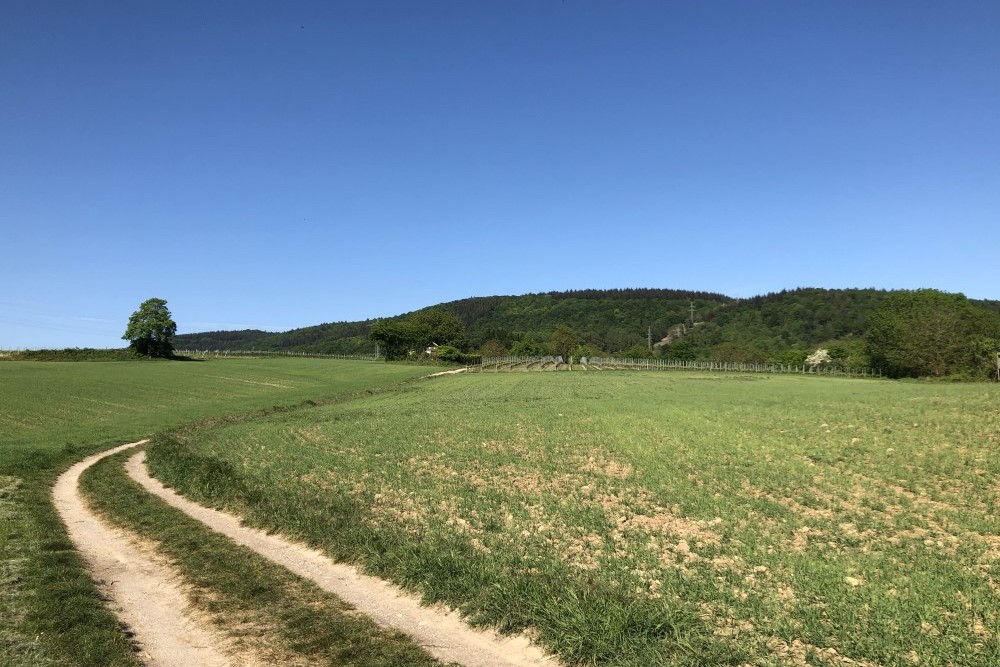 ドイツ 山に続く畑の道