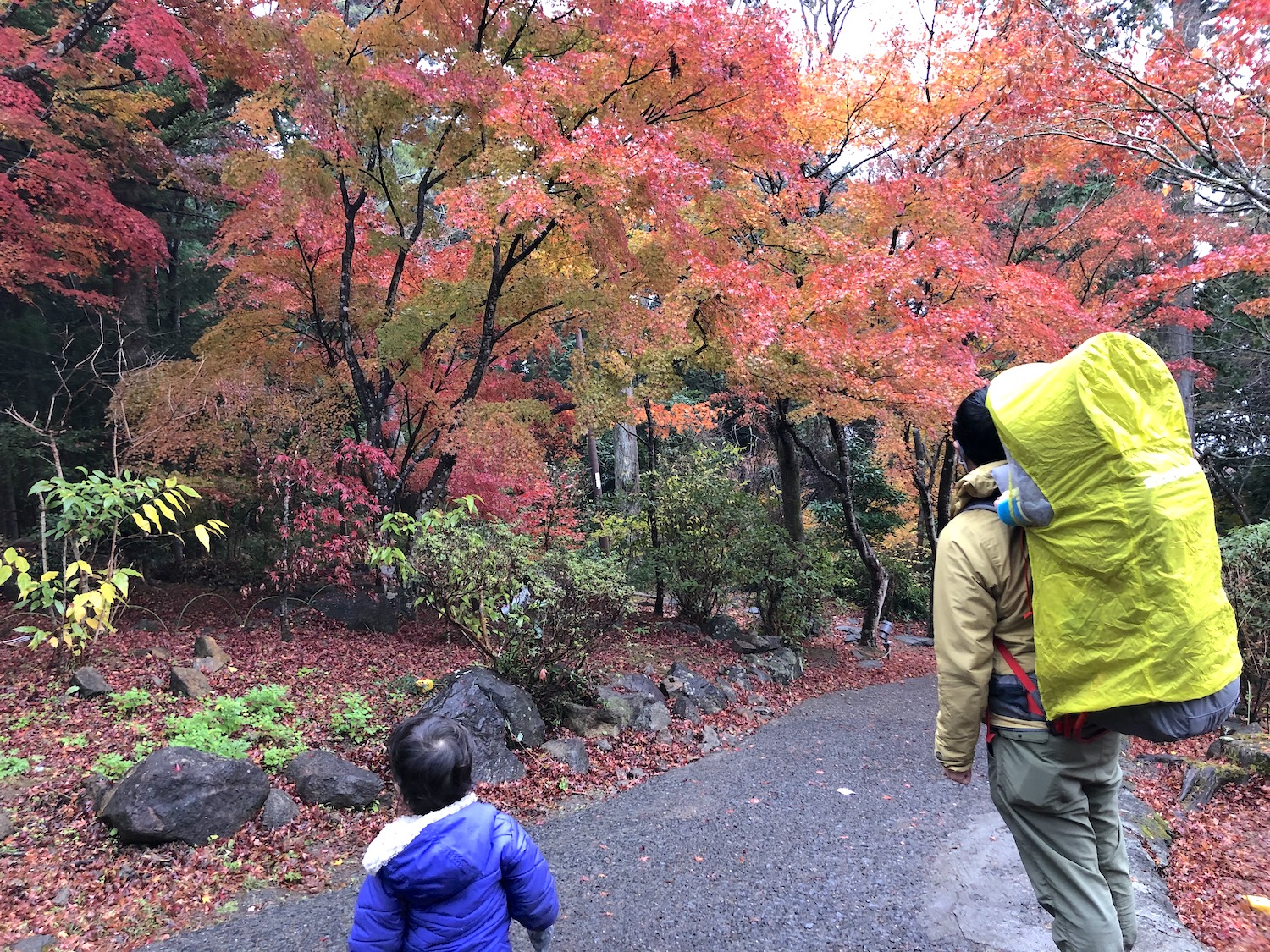 【山ヤの子育て】めざせ親子登山100座！ ７座目・子育てに疲れたら、山に行こう　筑波山