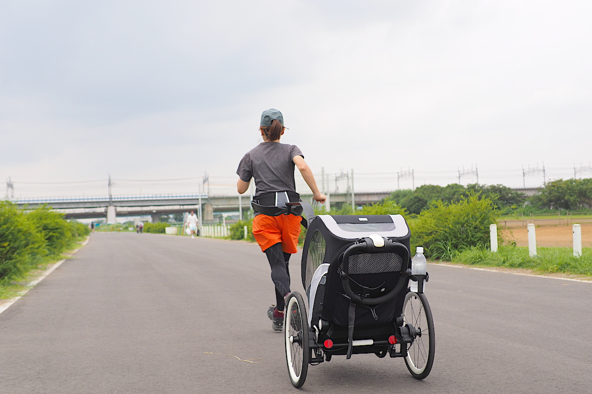 バギーラン buggy run サイベックス CYBEX AVI アヴィ ZENO ゼノ ハンズフリーランニング プッシュランニング マルチプルキット