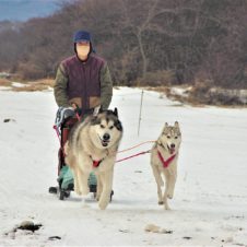 古くて新しい雪遊び。野辺山で愛犬と犬ぞり体験