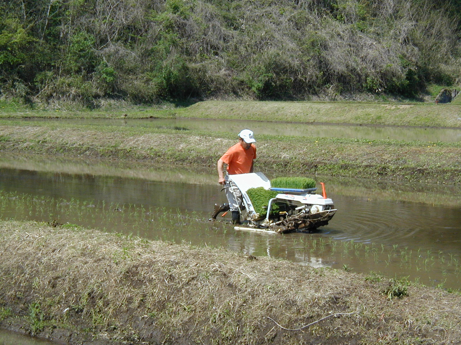 ユーさんの74年_17】中川祐二、74年目のアウトドアノート〜米を作る