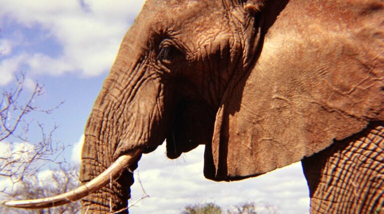 【ユーさんの74年_20】中川祐二、74年目のアウトドアノート～“地球”をめぐるシンフォニー。30年前の取材の裏舞台。