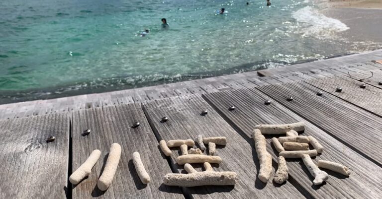 2025年の野外フェスの締めに、小笠原や奄美の島旅へ。